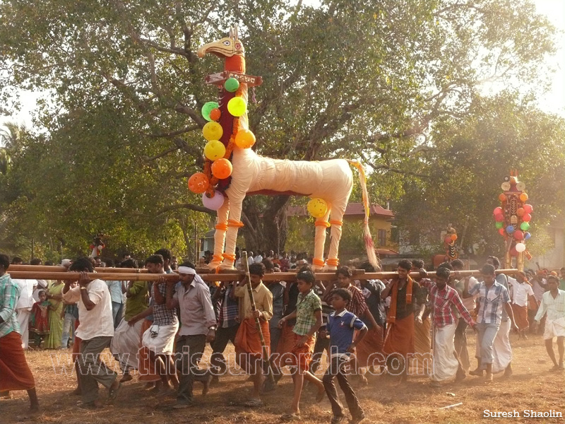 mangad-pooram-2012 (22)